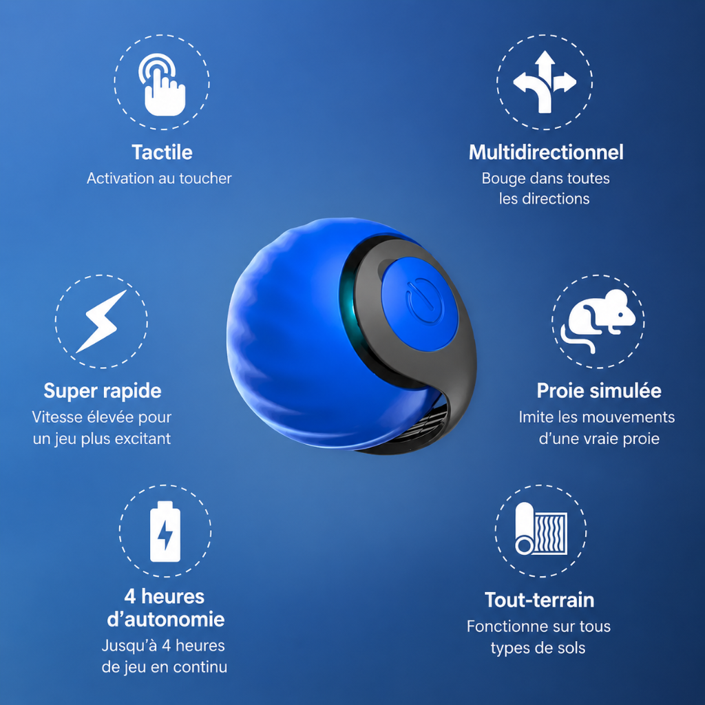 Novacat 2.0-Jouet interactif pour chat