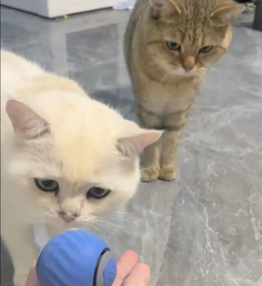 Novacat 2.0-Jouet interactif pour chat